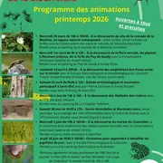 ABC de la biodiversité : apprendre à identifier les papillons de jour