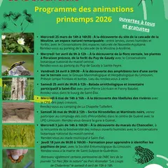 ABC de la biodiversité : apprendre à identifier les papillons de jour