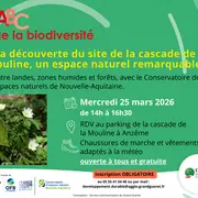 ABC de la biodiversité : la cascade de la Mouline