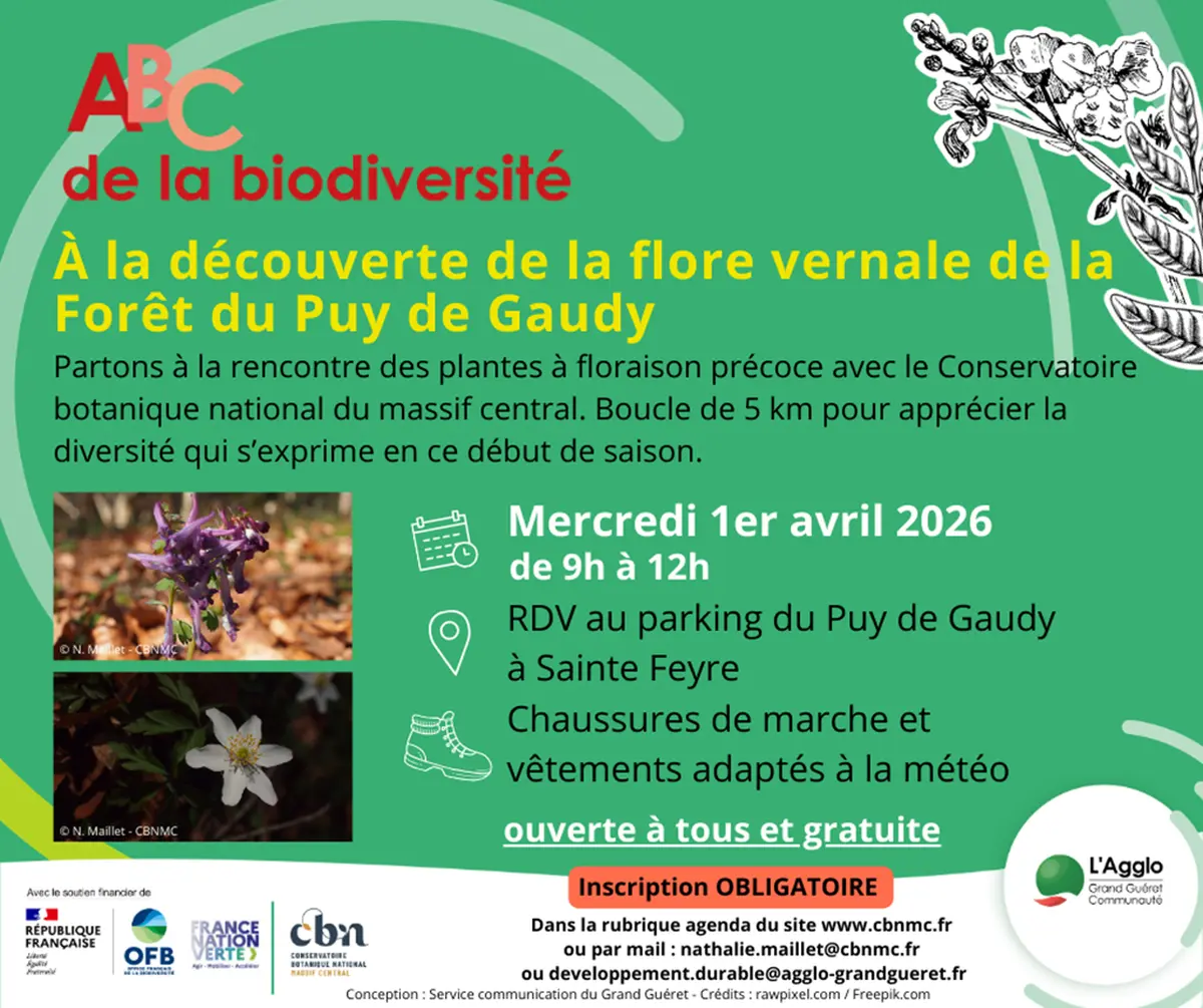 ABC de la biodiversité : la flore vernale de la forêt du Puy de Gaudy