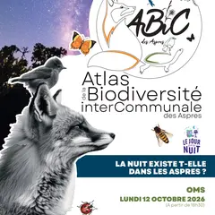 Abc Des Aspres - La Nuit Existe-T-Elle Dans Les Aspres?