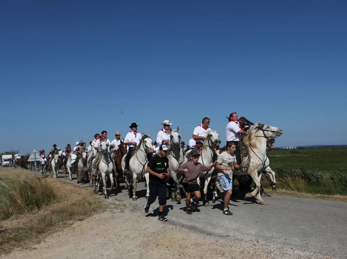 Abrivado des Bernacles