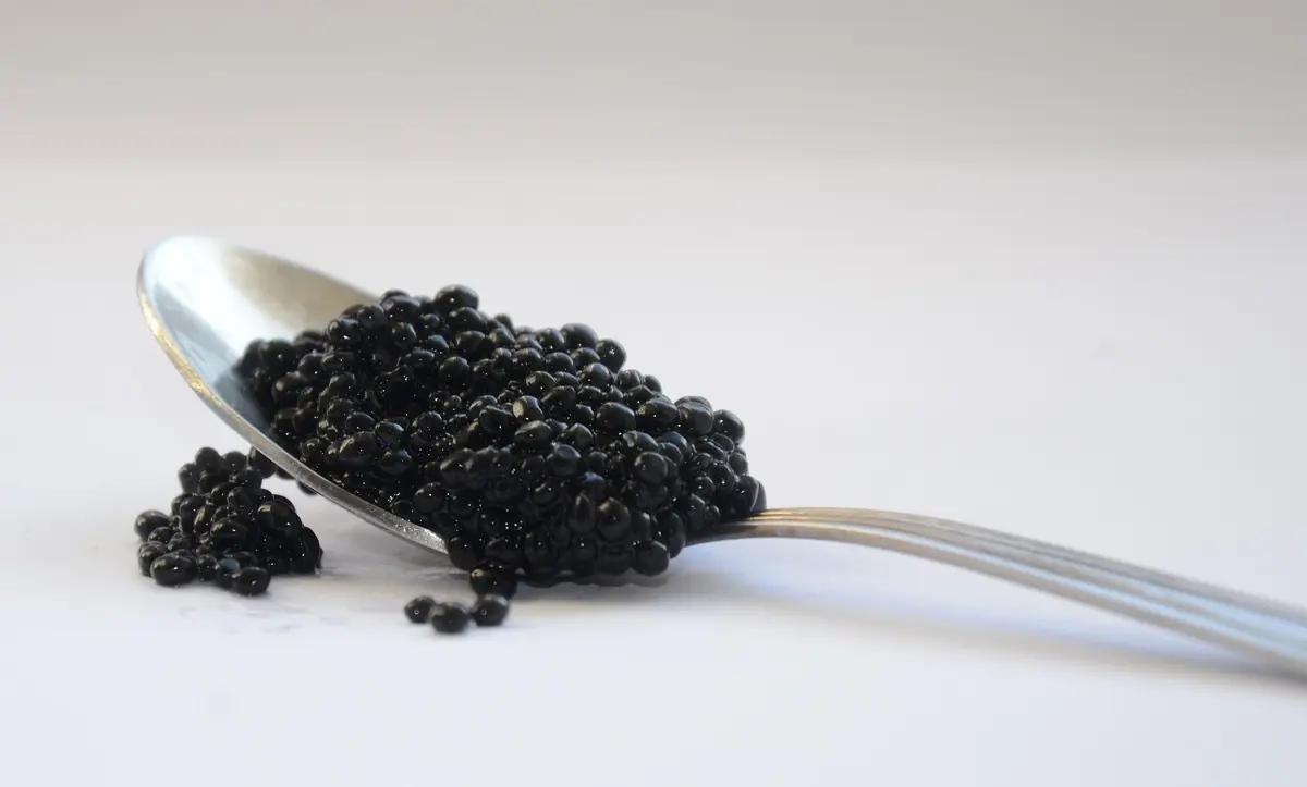 Accord Vin Et Caviar : L'Art Du Goût