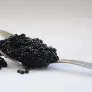 Accord Vin Et Caviar : L'Art Du Goût