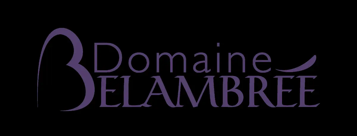 Accords mets & vins en 4 temps - Les femmes et le vin