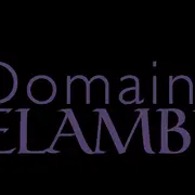 Accords mets & vins en 4 temps - Les femmes et le vin