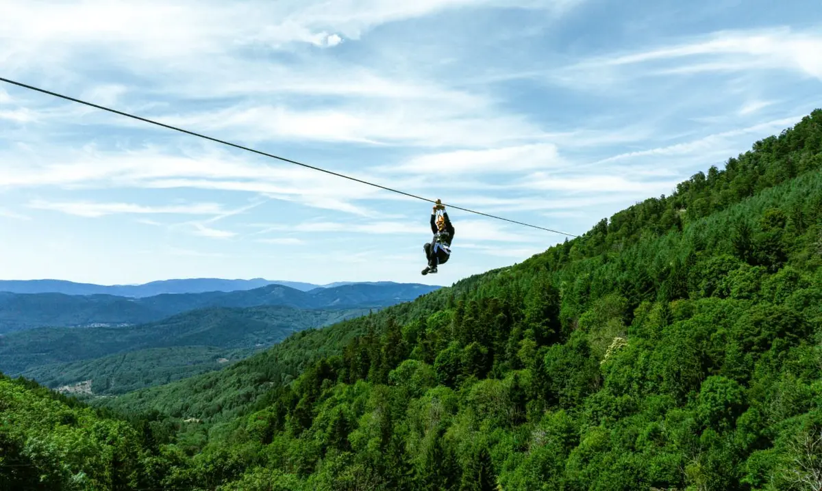 Accrobranche à Breitenbach : le Parc Alsace Aventure fête ses 25 ans avec de nouveaux parcours