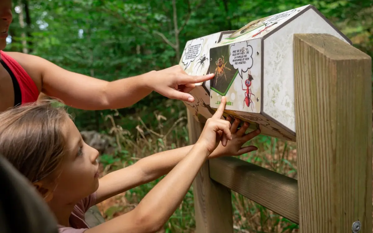 Accrobranche à Breitenbach : le Parc Alsace Aventure fête ses 25 ans avec de nouveaux parcours