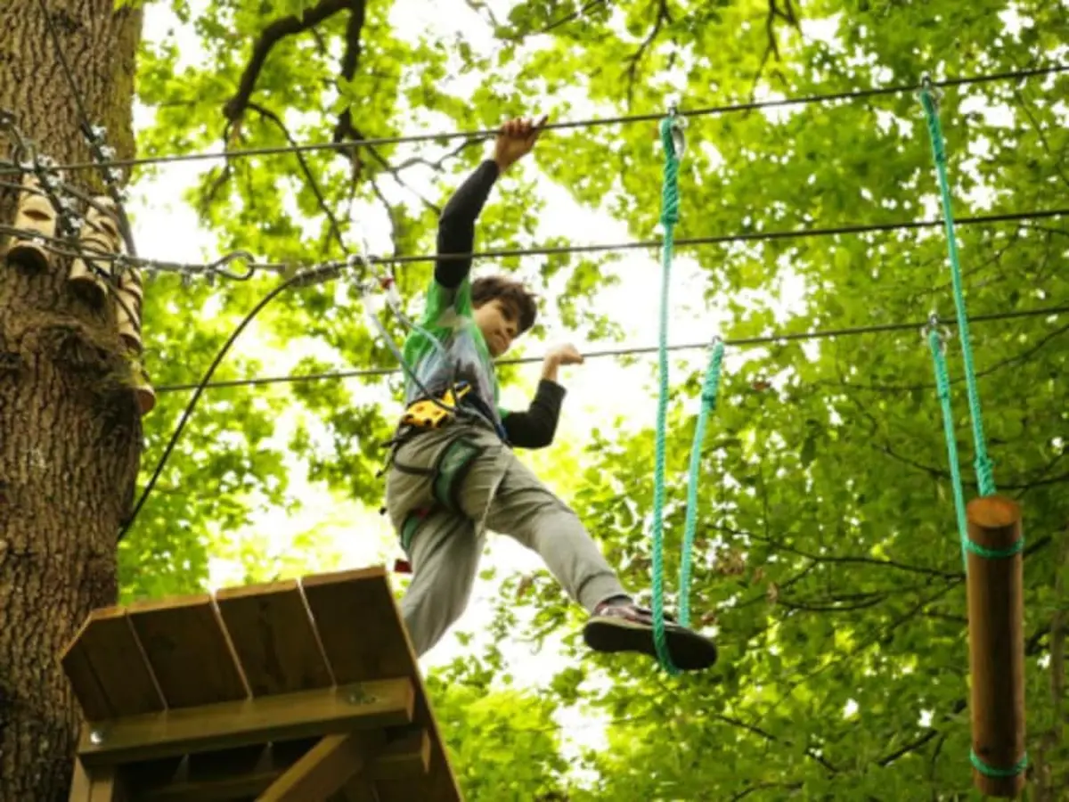 Accrobranche à Montereau Saint-Germain-Laval (77)