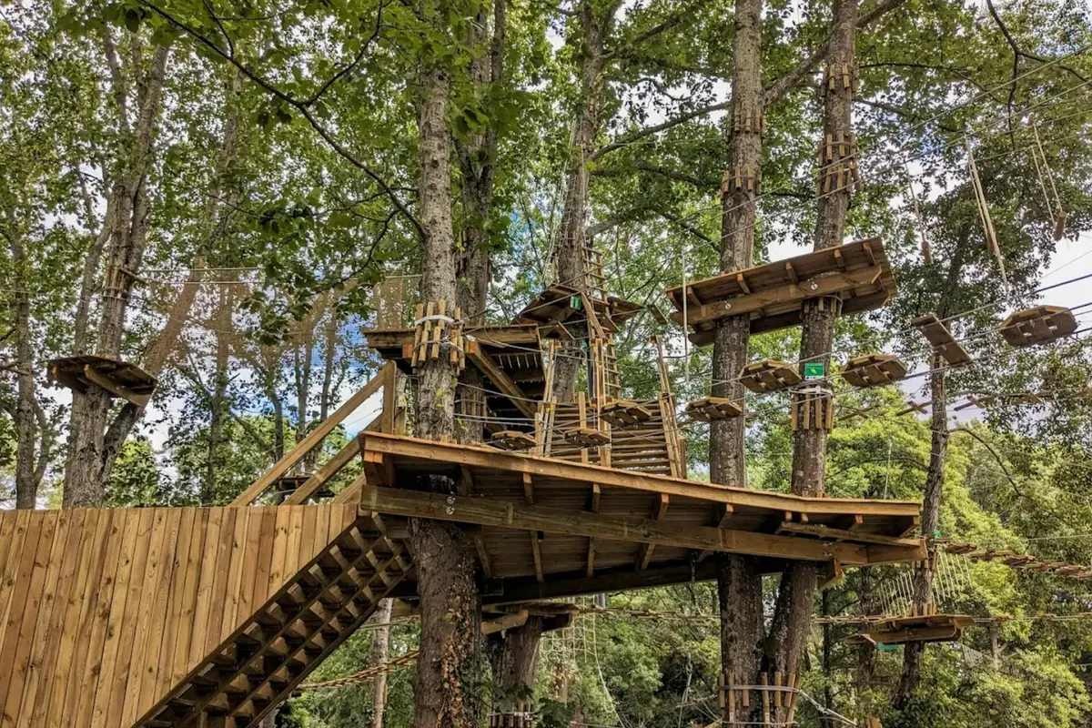 Maison dans les arbres avec plusieurs plates-formes et ponts de corde, reliés par des escaliers, nichée au milieu de grands arbres feuillus.