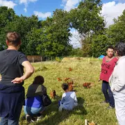 Accueil à la Ferme : Moulin à Huile de Noix , Potager et poules pondeuses dans le Ribéracois
