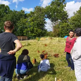 Accueil à la Ferme : Moulin à Huile de Noix , Potager et poules pondeuses dans le Ribéracois