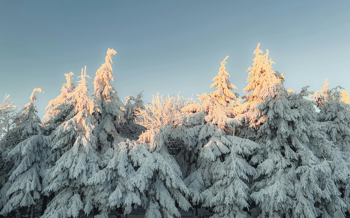 Accueil Collectif des Mineurs 11-15 ans