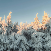 Accueil Collectif des Mineurs 11-15 ans