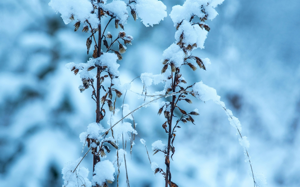 Accueil Collectif des Mineurs 7-11 ans