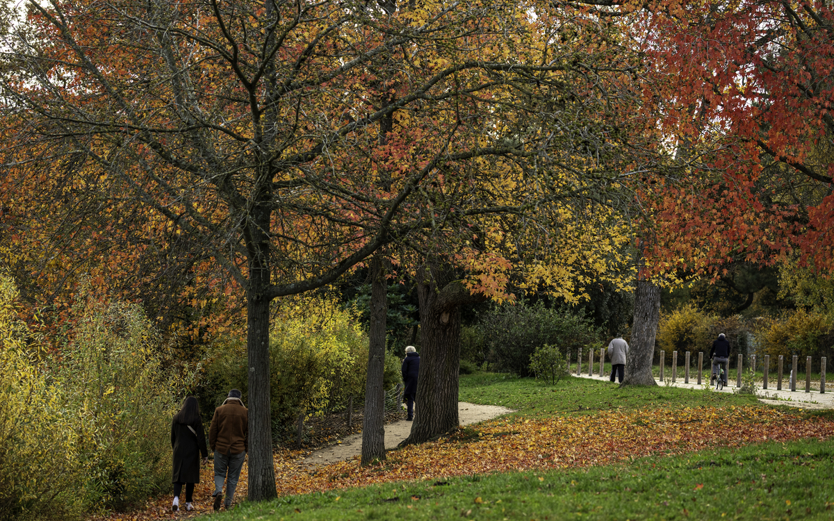 Bois de Boulogne - Chemin de Ceinture du Lac Inferieur