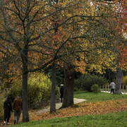 Accueillir le printemps au bois de Boulogne