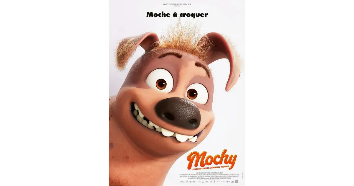 Mochy