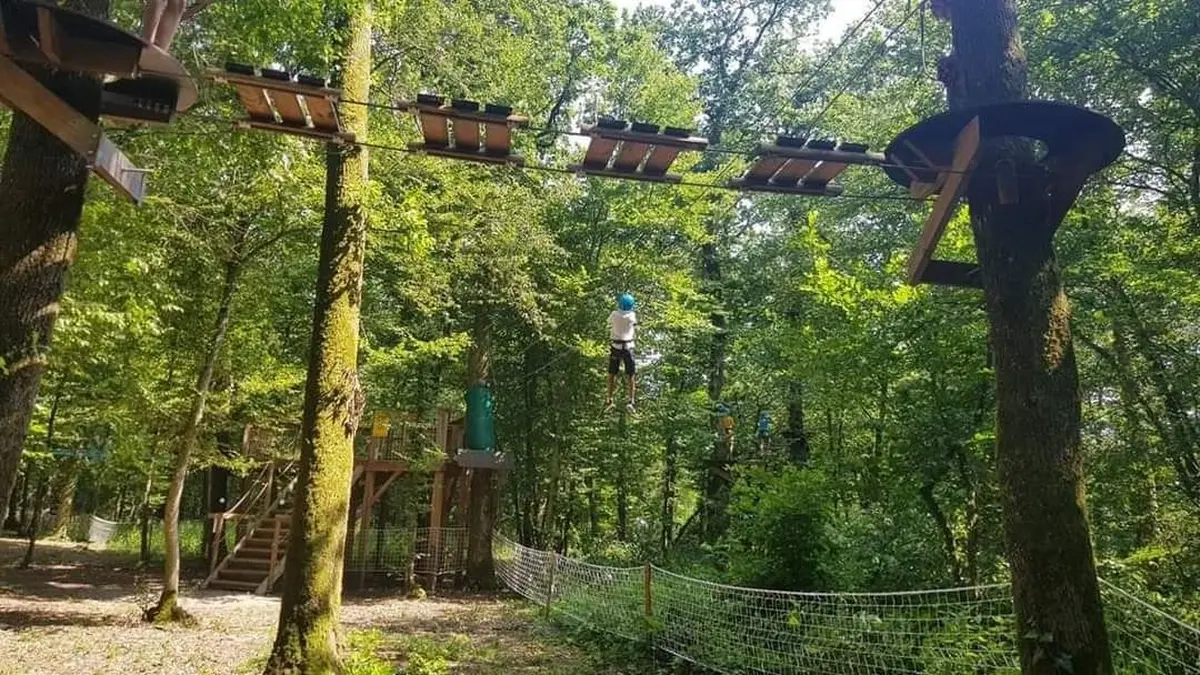 Traversez les branchages en hauteur au parcours accrobranche de Burnhaupt