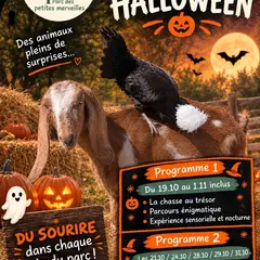 Activités Halloween au Parc des Petites Merveilles