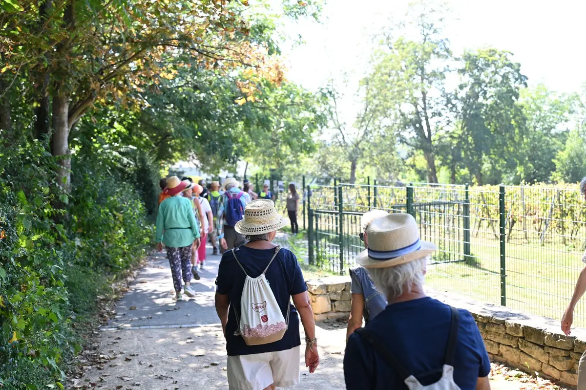 Balade gourmande organisée par le Club Vosgien en partenariat avec l'IRHT