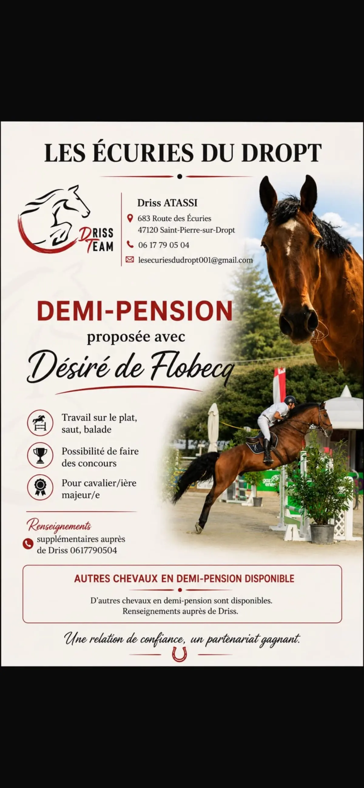 Cheval en demi-pension