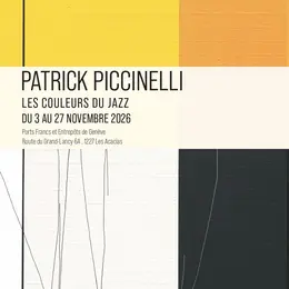 Exposition Patrick Piccinelli 