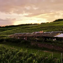 Balade nocturne à cheval au Bistrot Champêtre