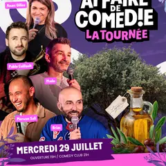 Affaire de Comédie