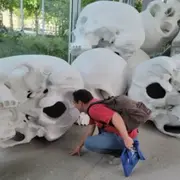 After Néandertalien - Semaine du cerveau