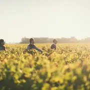 Afterbeach au Château Fonréaud