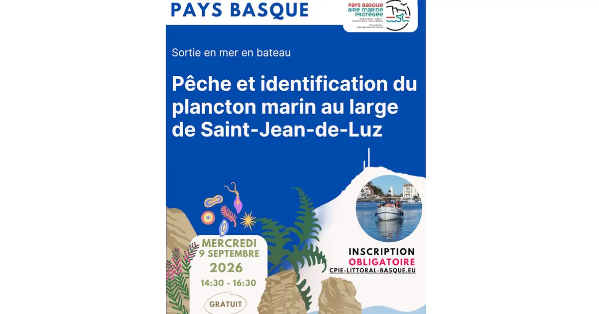 Aire Marine Protégée Pays Basque - Pêche et identification du plancton marin au large de Saint-Jean-de-Luz.