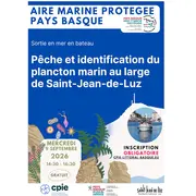Aire Marine Protégée Pays Basque - Pêche et identification du plancton marin au large de Saint-Jean-de-Luz.