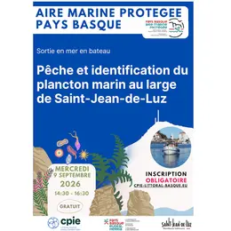 Aire Marine Protégée Pays Basque - Pêche et identification du plancton marin au large de Saint-Jean-de-Luz.