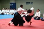 L\'aïkido fait partie des nombreux arts martiaux que l\'on pratiquer en Alsace.