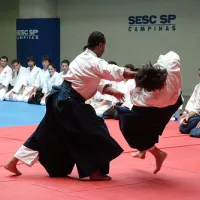 L'aïkido fait partie des nombreux arts martiaux que l'on pratiquer en Alsace. &copy; Tharso