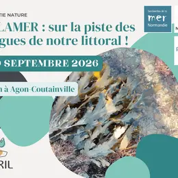 ALAMER : sur la piste des algues de notre littoral !