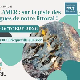 ALAMER : sur la piste des algues de notre littoral !