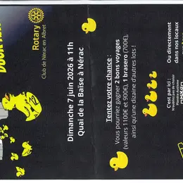 Albret Duck Race