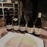 All about Corton