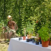 Allées ouvertes au Jardin Bourian