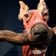 3 trucs à faire pour se remettre de son week-end…