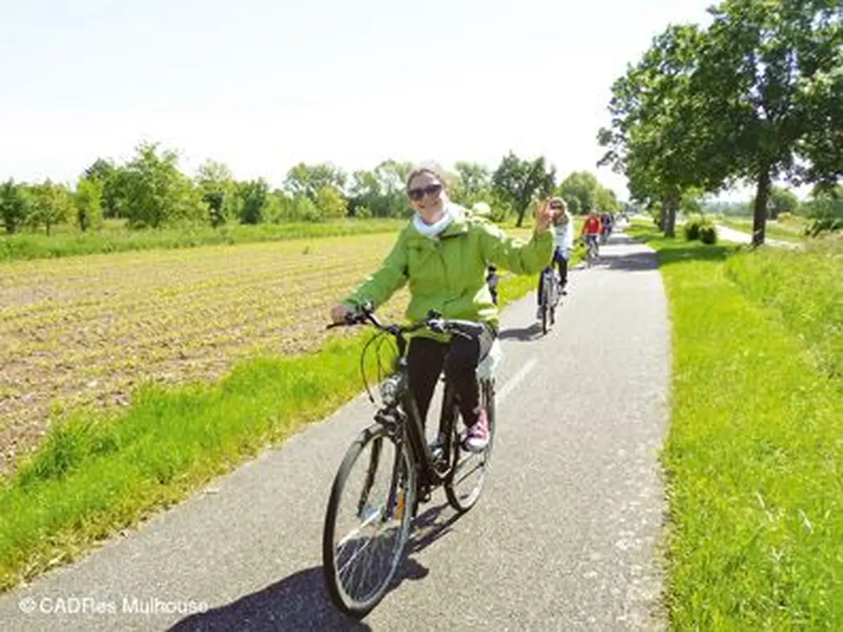 Allez ! on ressort les vélos !  C'est le printemps, on en profite !