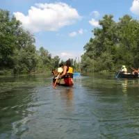 Alsace Canoë&nbsp;: Une exploration de la nature au fil de l'eau DR
