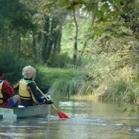 Avec Alsace Canoë, les rivières sont des voies d'exploration de la forêt rhénane DR