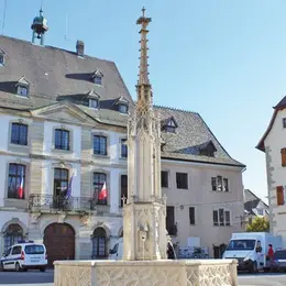 Match : Altkirch VS. Ribeauvillé