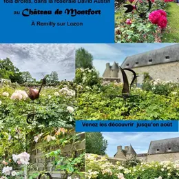 Ambiance et Atelier expose dans la roseraie David Austin