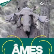Ames vertes, quand l'art affronte l'anthropocène