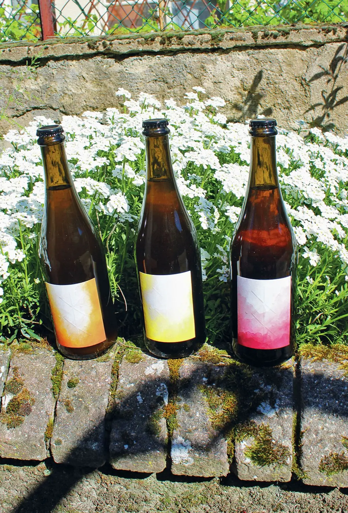 Trois cuvées de la vigneronne