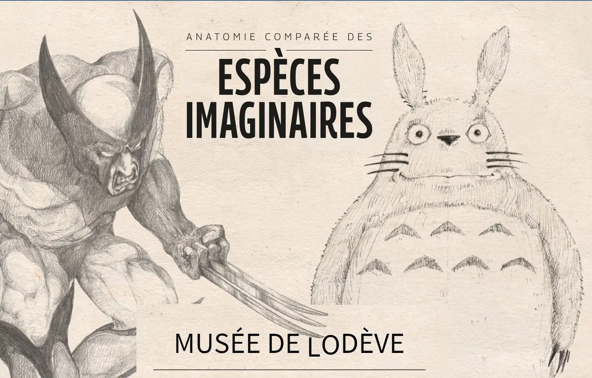 Anatomie Comparée Des Espèces Imaginaires